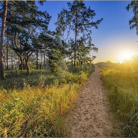 Paul-kuehne-str 4 Tintenfisch